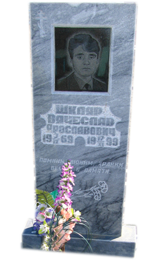 Модель МП-273