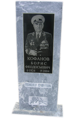 Модель МП-301